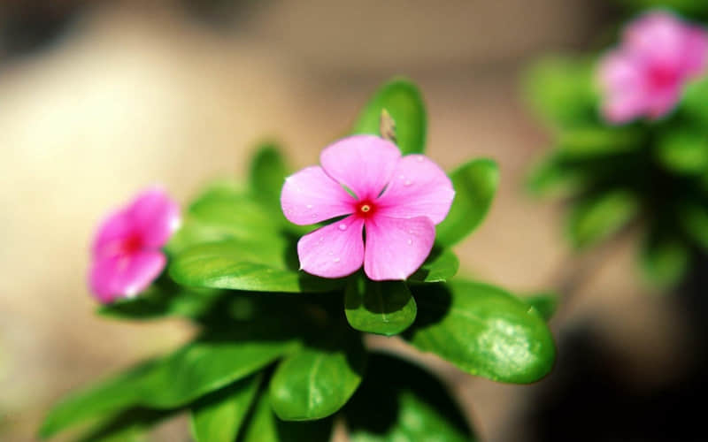 ��һ�����˲���ʧȥ�㣬�Ż�����10�ֱ��֡�