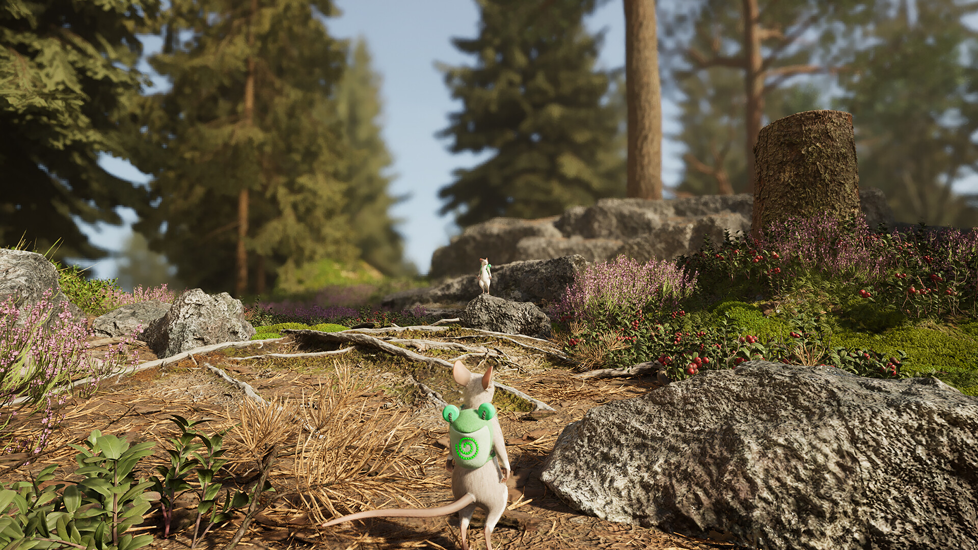 ����ʲôʱ��� ��������ʱ��Ԥ��