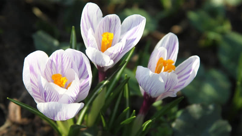 ��������ֲ����ģ����˸¸��֡�