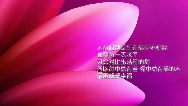 ��ʰһ����ȥ������������ѣ�