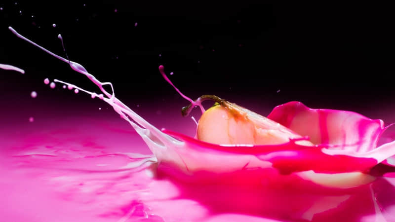 ������ûʲô�ر𣬾�����������鶼�ܺ��ģ���