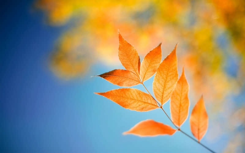 Ů��Խ���ã����˻궼��Ʈ