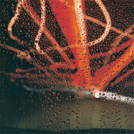 4���˸�������������(��ѡ100��)