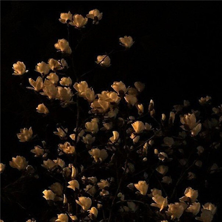 ���������˸��ز�������(��ѡ100��)