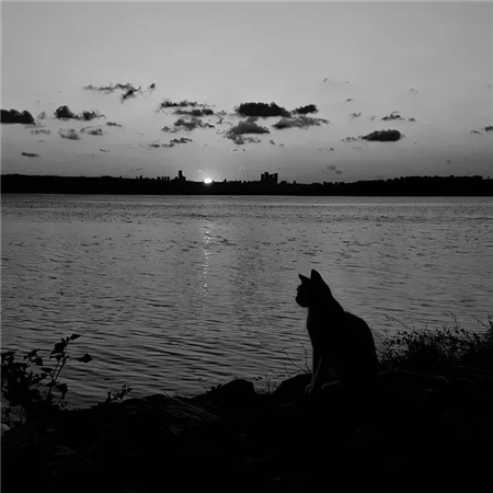 ��Ц�������˵���������(��ѡ100��)