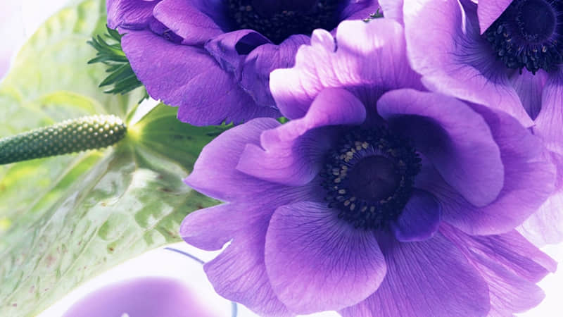 ������ȴ���˸е�С�İ���