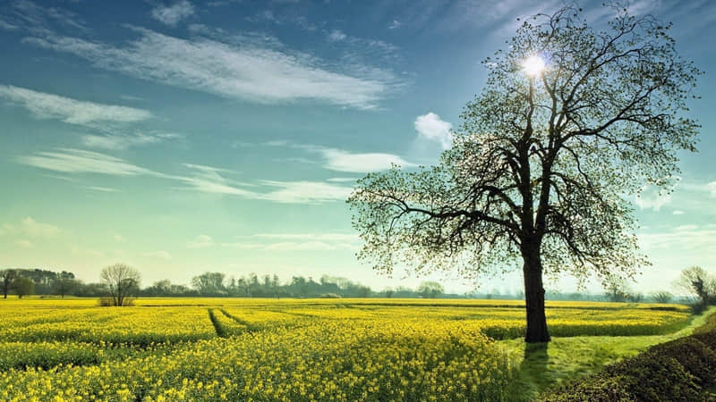 ��???????? ?????????1??����������Ȧ�İ�??��