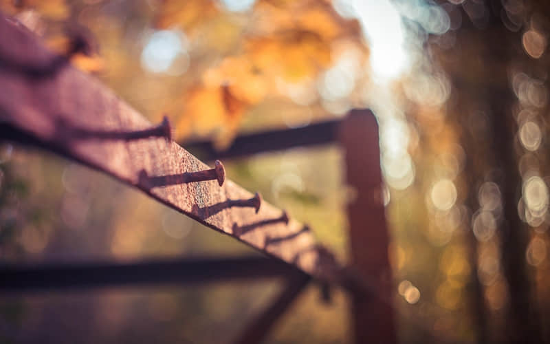 ����ô��Ȧ�����˿��������㡱