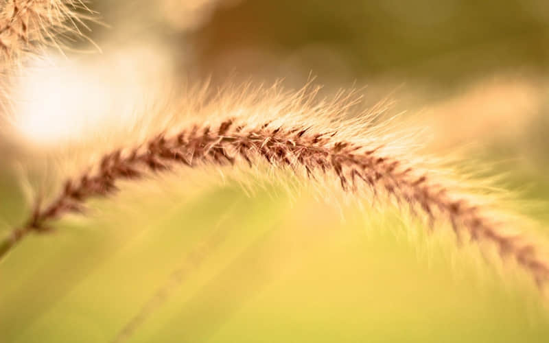 ��̫�����ˣ�������������ɳڸе���?��?Ȧ?????��