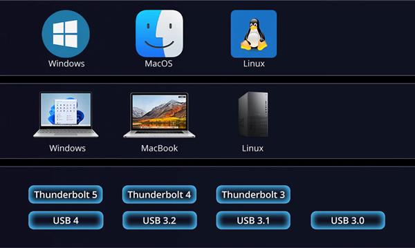 �׵�5������ D1 SSD Pro  80Gbps�ĶԾ�