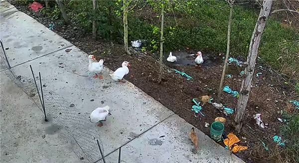 18����ͻȻ����������� ���˳�ˮ���ִ��ʧ��Ԫ�׾���ˮ��