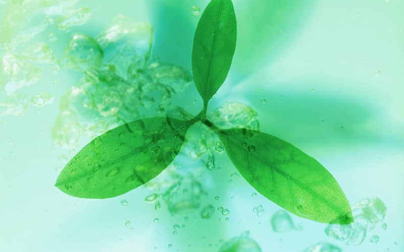 �������˲��ҷ�������Ȧ��̫��ʵ~��??