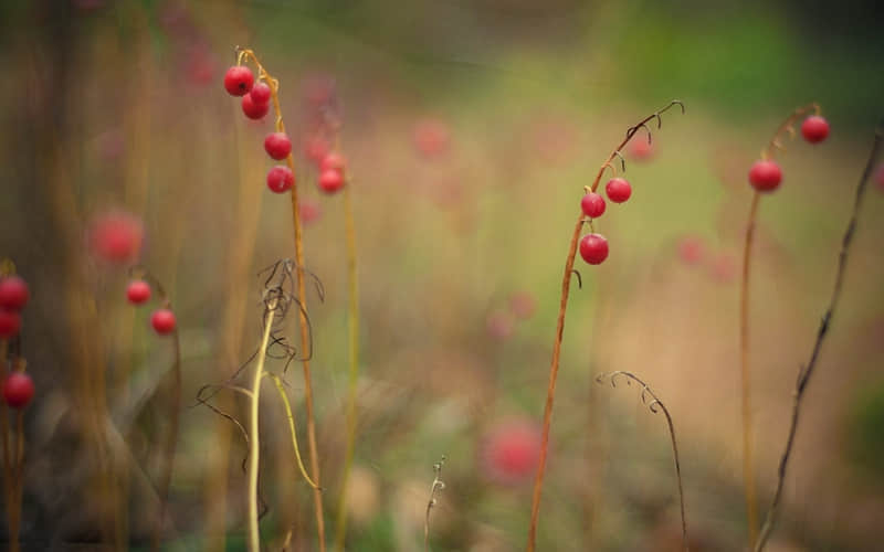 "�ѹ�ʱ��ô������ĳ�˿���������"