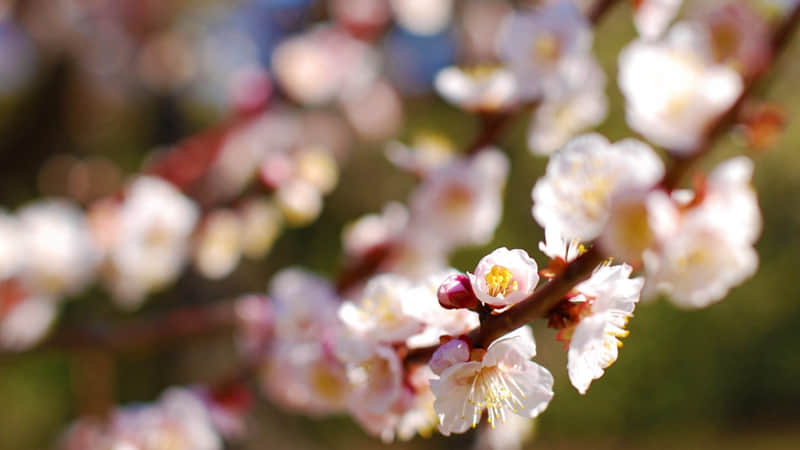 ��8+1��������ȥЦ���������Ȧ