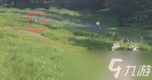 ����ůů��������С��Σ�յĲ���������ô��