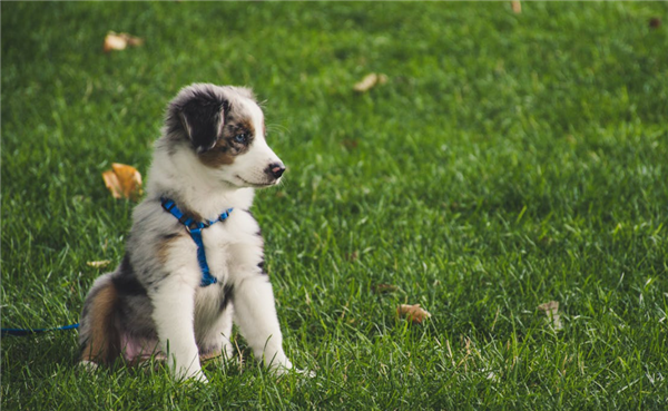 ʷ�����ϣ������޹���˩����߾���10��