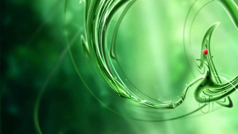 ����ֹ���˰�����ĸ����̻�����