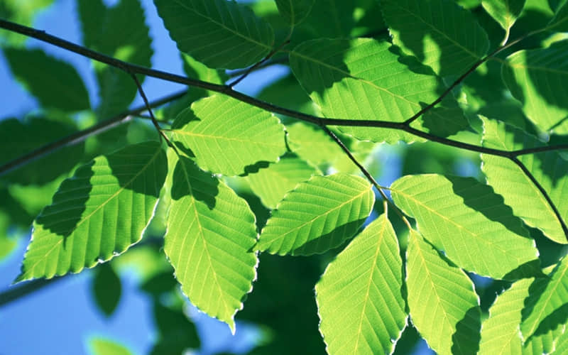 ����һ�䣬������ǿ��û�ߣ���