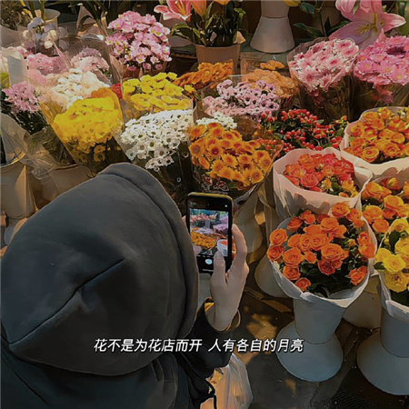 �����ŷ�����ͷ��������(��ѡ100��)