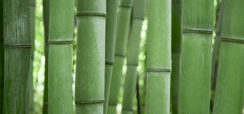 ��ʰһ����ȥ�����������Ȧ��