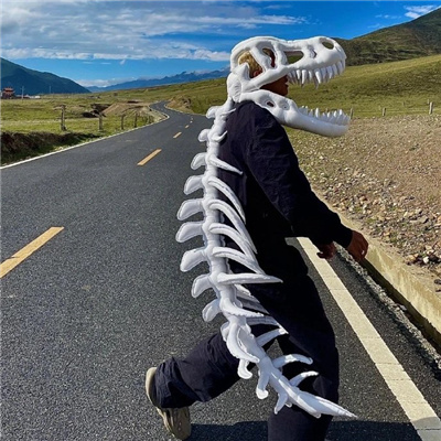 ����˧������������ȫӢ��(��ѡ100��)