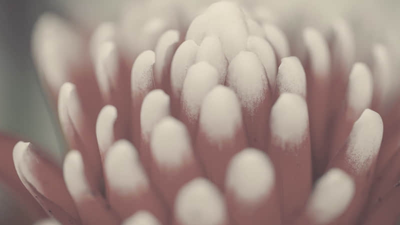 ��һ�����˸��ң�����Ļز�ȥ��