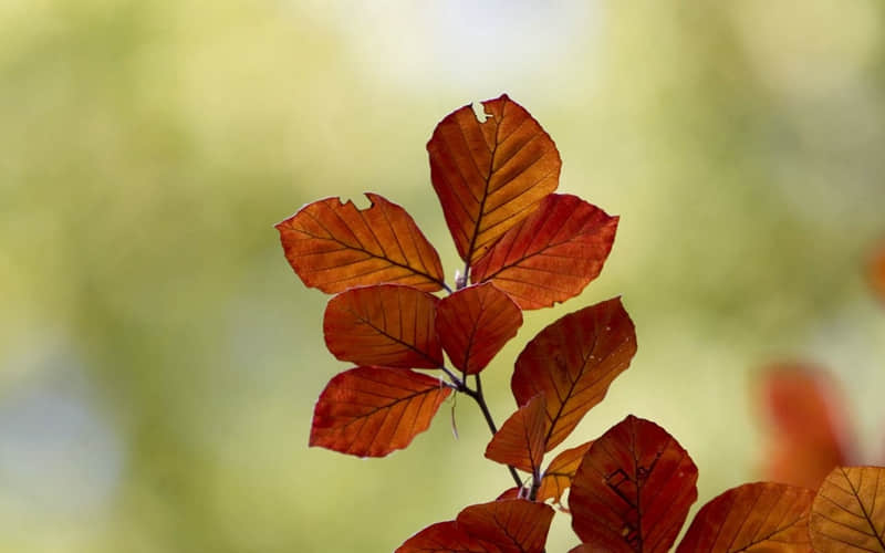 "�����ˣ��ʹ�󷽷���������"