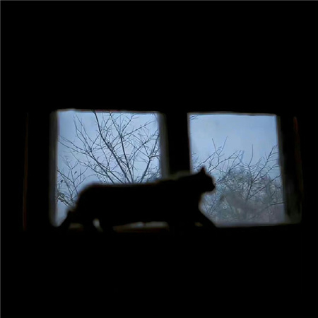 �����˸���������������(��ѡ100��)