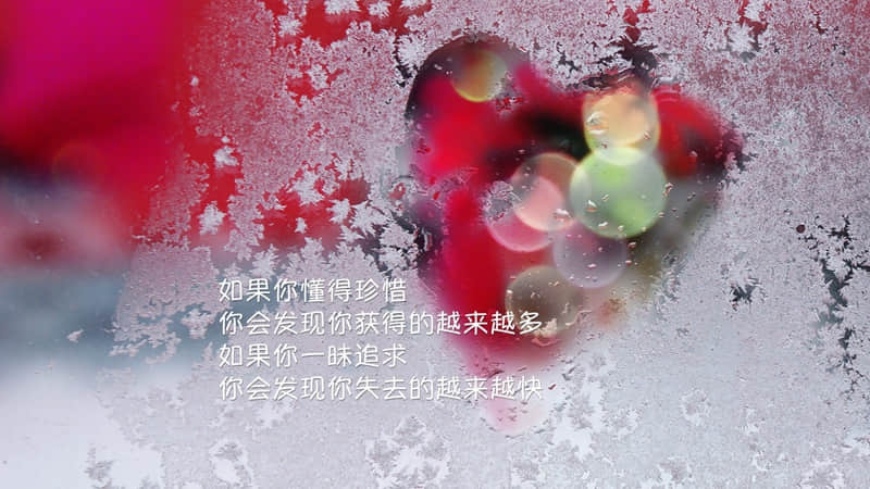 ��������ľ����䣬�������ԣ����������˼��ѧ�Զ��ڳ���