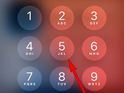 ƻ���ֻ���ôȥ�������������ֲ�������ƻ���ֻ�ȥ�������������ֲ���������