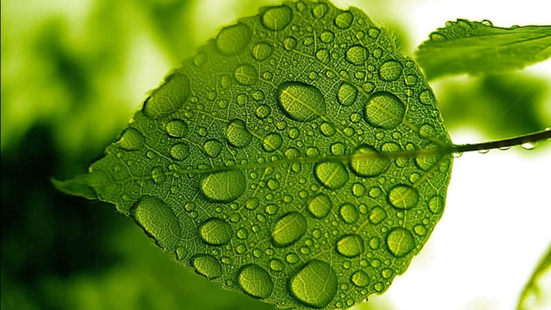 ��������Ų��µ����ˡ�