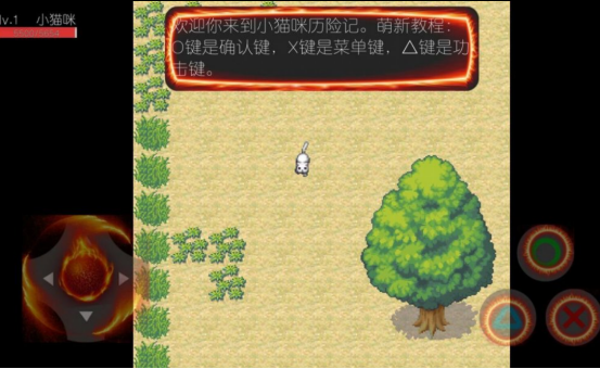 ��Ȥ��Сè����Ϸ����Щ2026�����ϸߵ�è�������Ƽ��ϼ�