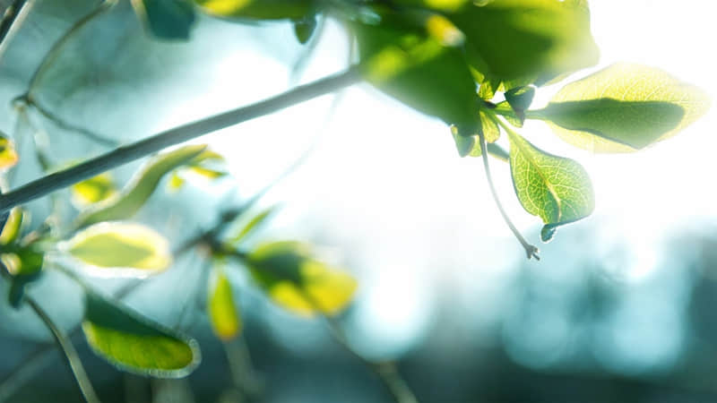 ��͵һ�䣬�Ѷ����Ϸ��������