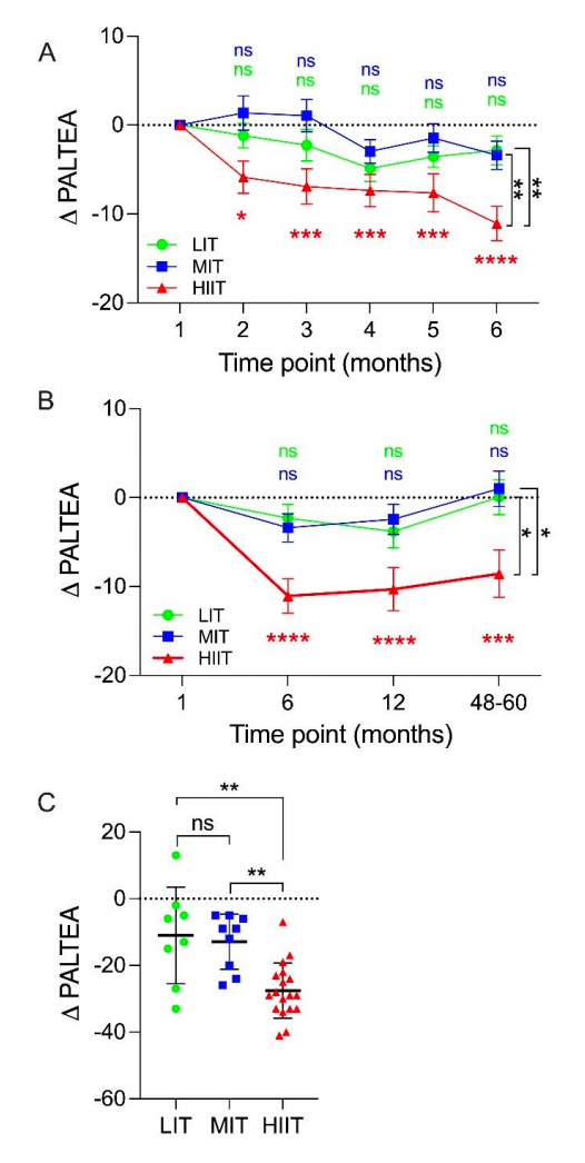 ����˶����ӻ�����˥�� ���6���� ������������5��