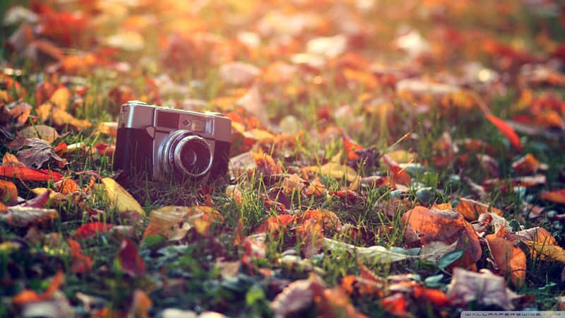 ����䷴�ǣ����Ƿ�ᣬЦ������Ȧ??��