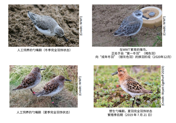 �����ֻȦ��������������� ��Խ13����˹������վ�û����ס