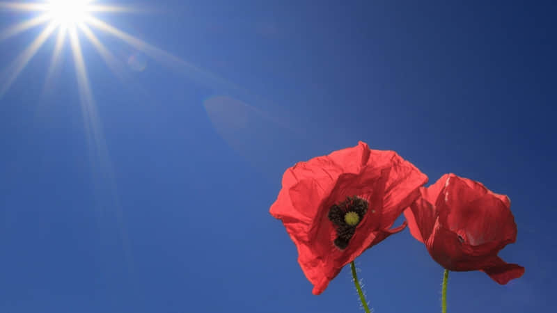 ���ʺϳ����ˣ�������Ȧ�����İ�����