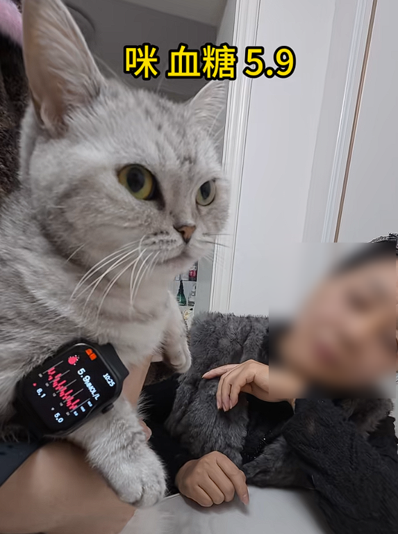 �ųơ��¹����ڡ���84Ԫ�����ֱ����������Ѫ��7.4