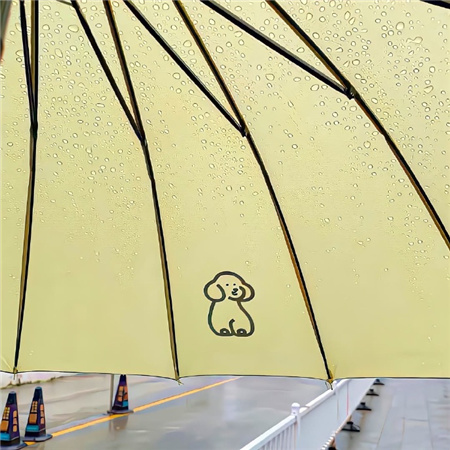 �߸������������˸�(��ѡ100��)