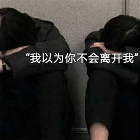 �˸��ָ߶˵���������Ӣ��(��ѡ100��)