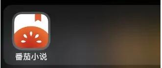 ����С˵��ôע�����ߺ�?����С˵ע�����ߺŵķ���