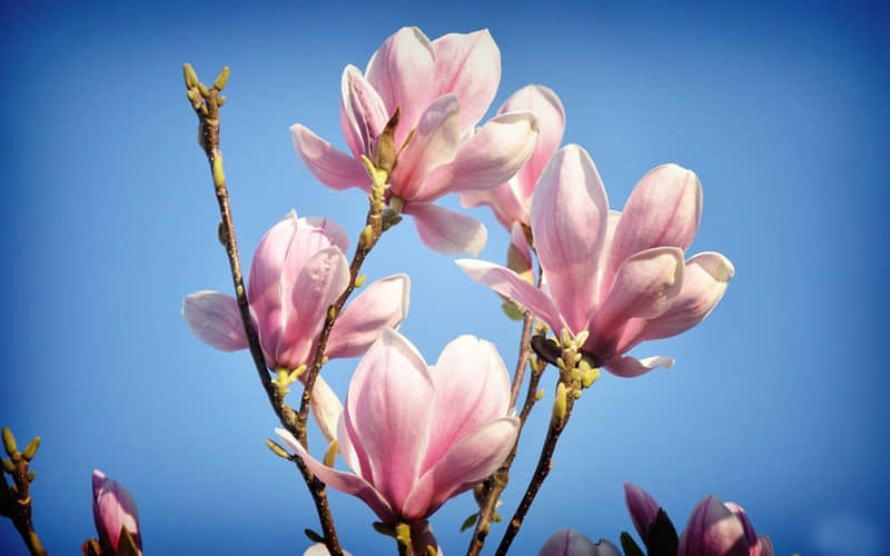 ��������������ʱ��������һ�ã������㡫��