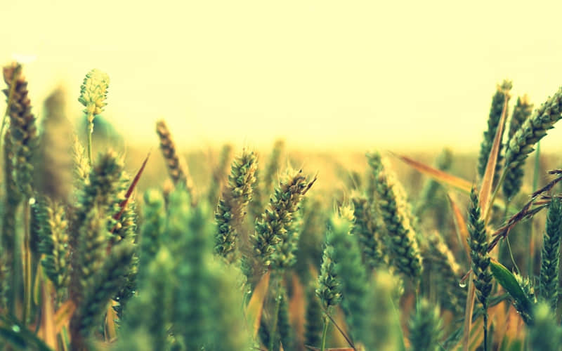 ��ϲ��ȴ����ӵ�е��ź���