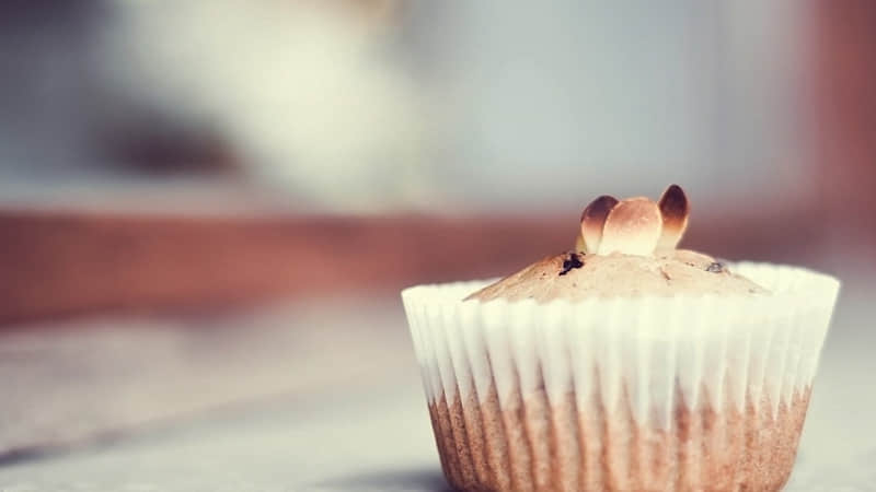 �����⣬�෢�����ɳڸ��������簲����Ȧ����̫�в��ˣ�