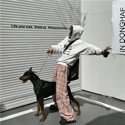 ��������������������(��ѡ100��)