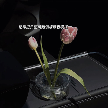 ����������˸���������(��ѡ100��)