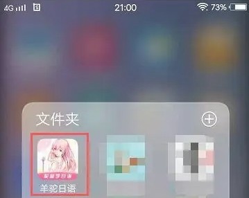 ��������app������������