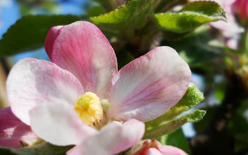 �� �����������ӣ�����λ������� ��