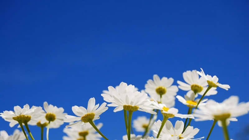 �����ں���Ů�ˣ������ʵ��