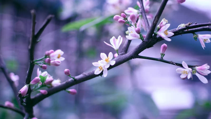 ��һ��Ů������Ȧ��ô����˵��������Ʒλ��